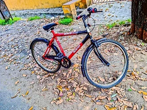 bicycle — photo 2